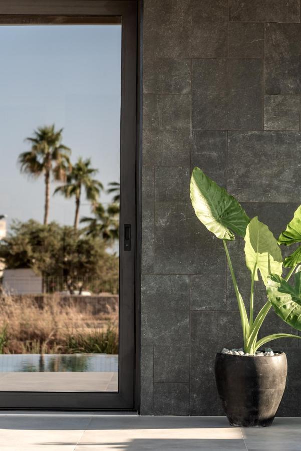 Aku Suites With Private Pools Stalida Exterior photo